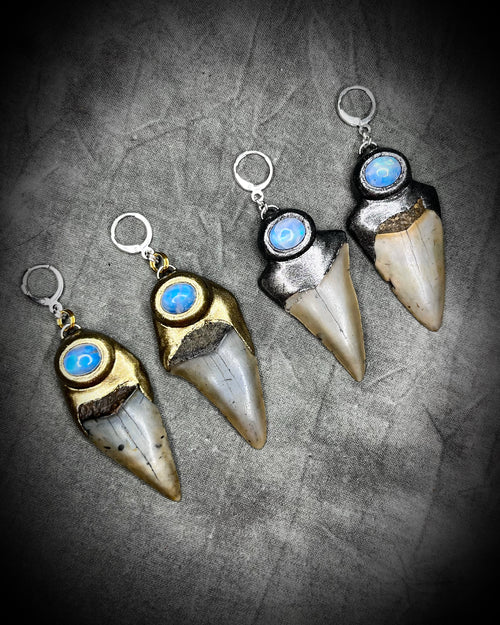 Natural shark tooth fossil and moonstone gold tone or gunmetal dark silver with sterling silver mixed metal earrings.  Handmade in the USA, these dangle earrings will empower and inspire you!  Best gift for her. 